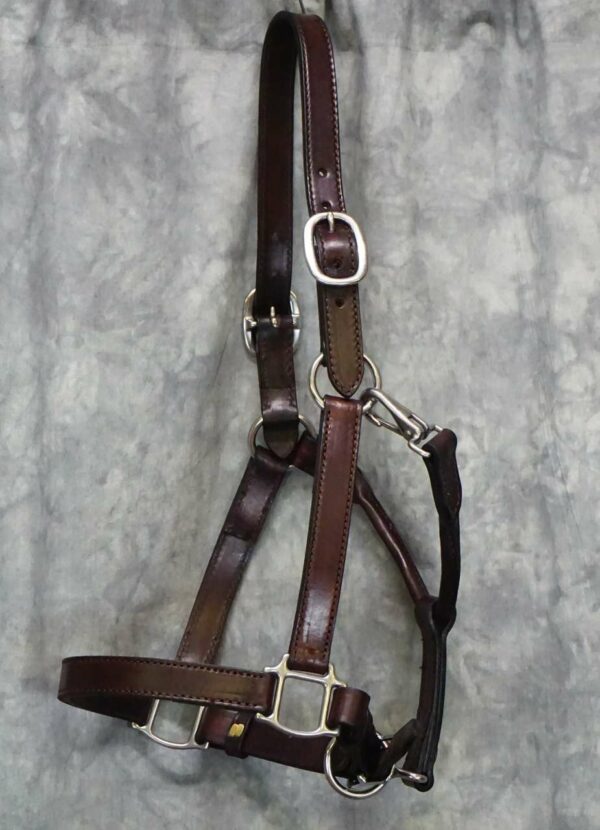 Hand Made Leather Halter - Stainless Hardware